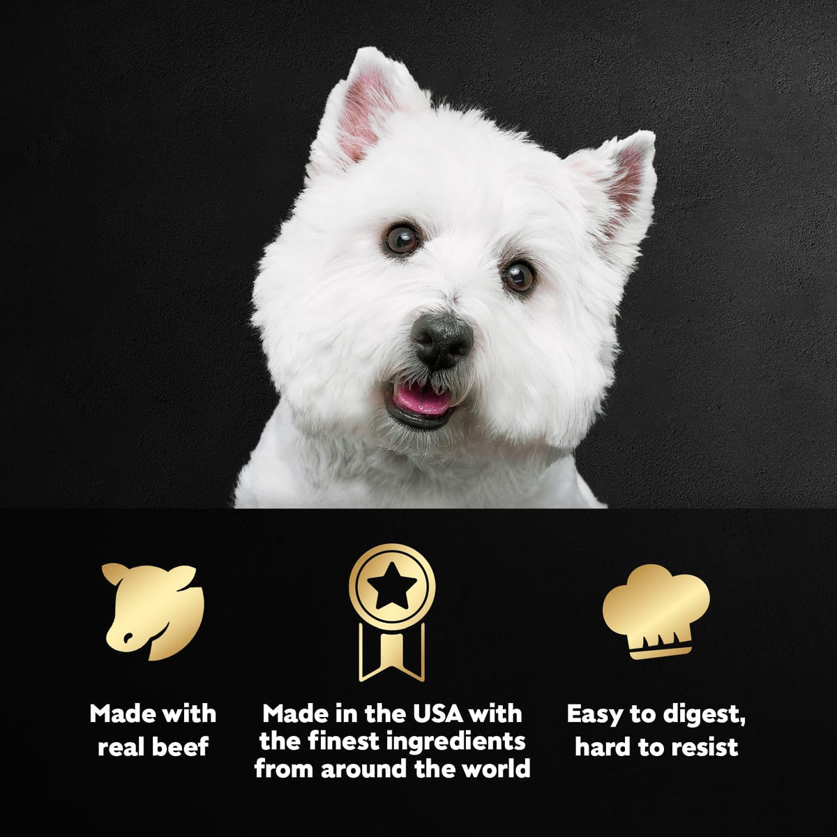 Cesar gourmet wet dog food variety pack thirty six count easy peel trays close up.