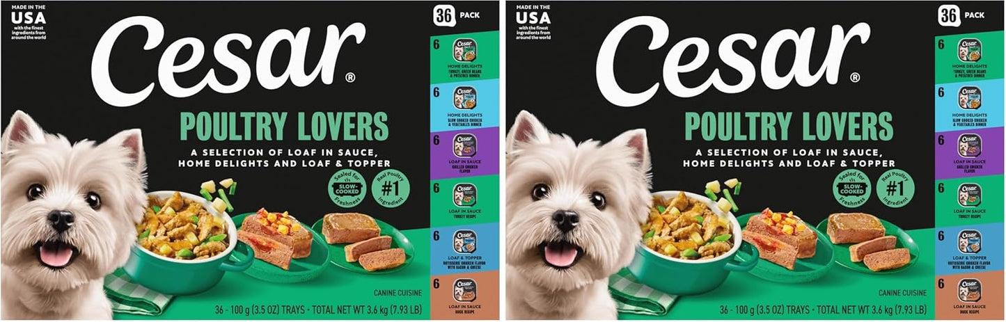 Cesar Wet Dog Food Steak Lovers Variety Pack,Adult,Wet Food for Dogs with Real Meat,3.5 oz Easy Peel Trays,36 Count (Pack of 2) - Image 13