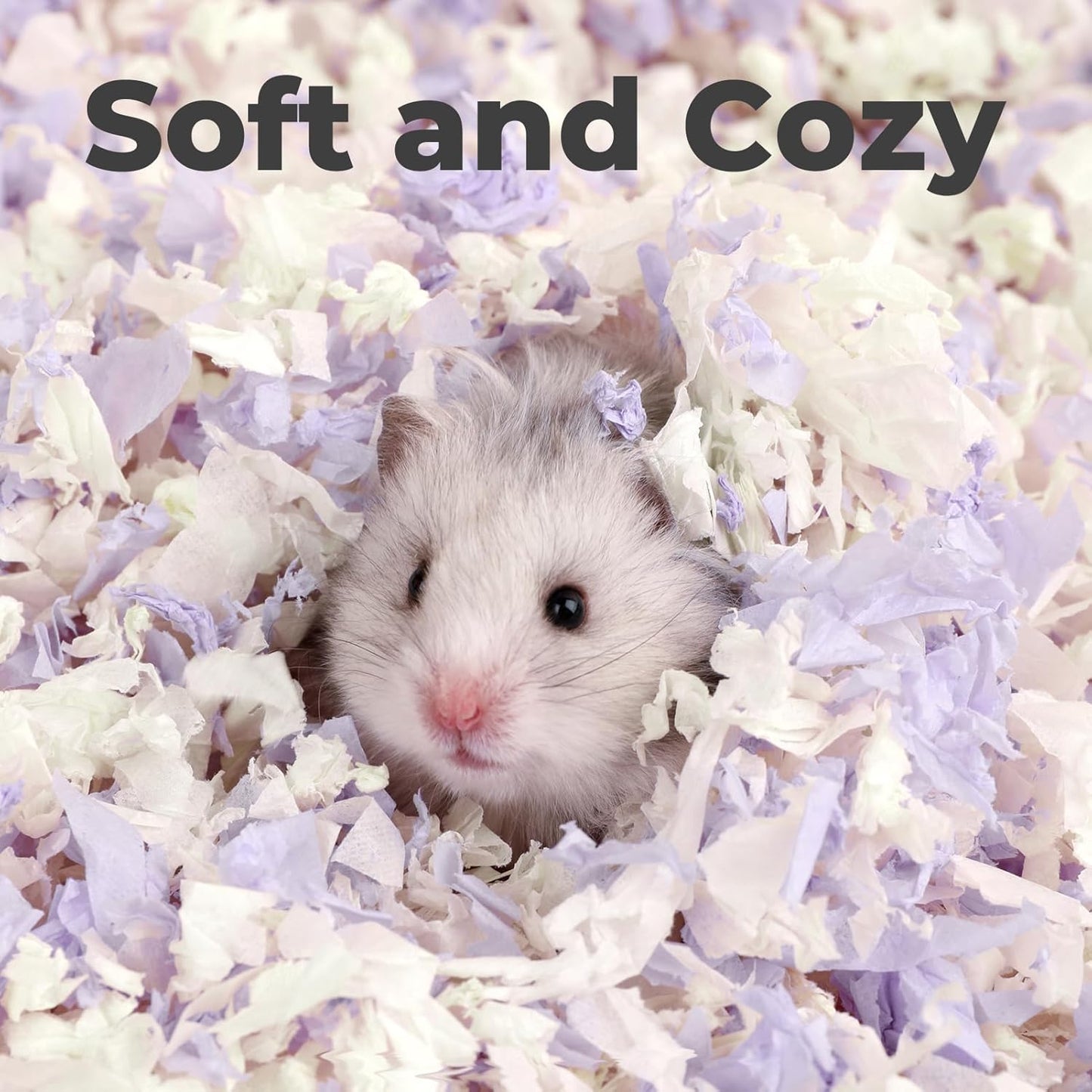 Guinea pig playing in Mini&Moe natural paper bedding