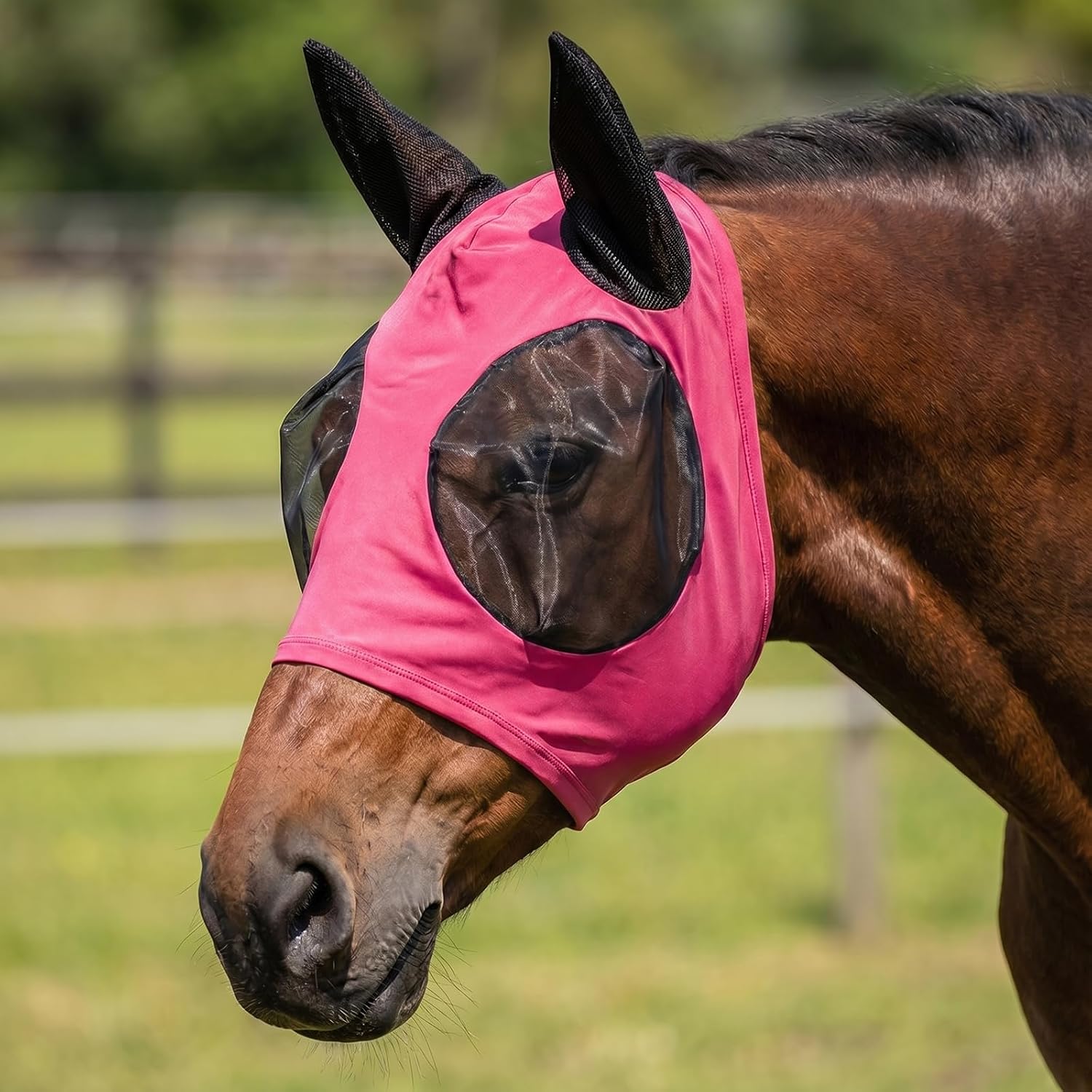Fly Mask with Ears for Horses Soft Stretchy Mesh Horse Face Cover, Breathable Eye Protection Fly Masks UV Protective Horse Supplies (Black, L) - Image 10