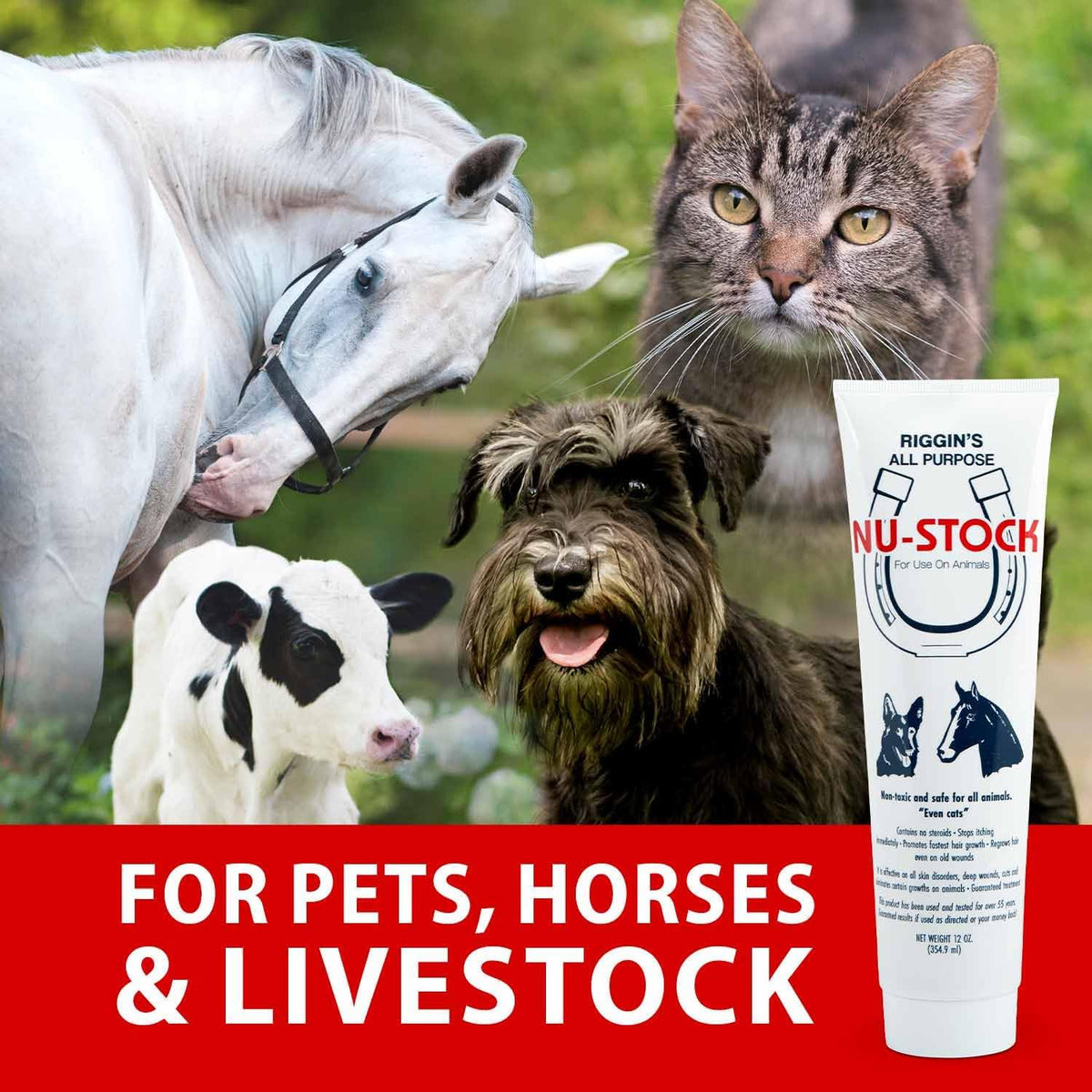 NuStock ointment for dog and horse skin disorders