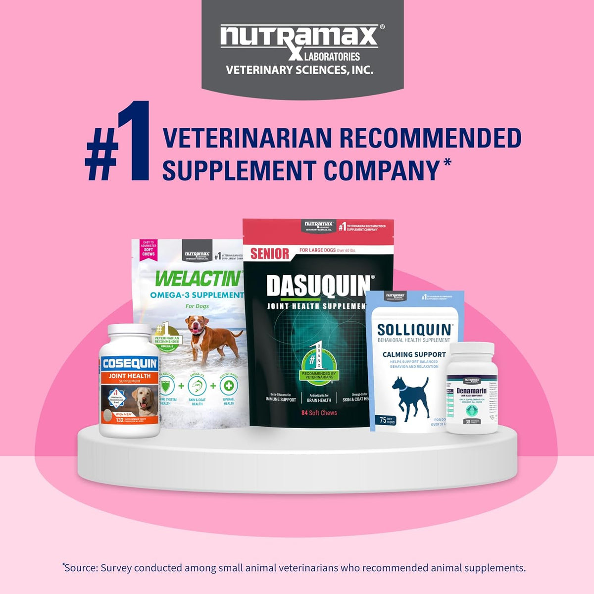 Nutramax Proviable Probiotics for Dogs and Cats, Daily Digestive Health Supplement with Multiple Strains of Bacteria, Cat and Dog Probiotics Plus Prebiotics, 30 Capsules - Image 12