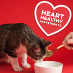 Close up of The Missing Link feline well being branding and size