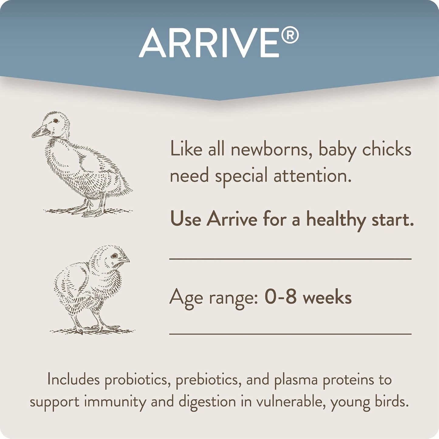 FlockLeader Arrive prebiotics and probiotics packaging showing dosage directions per gallon of water