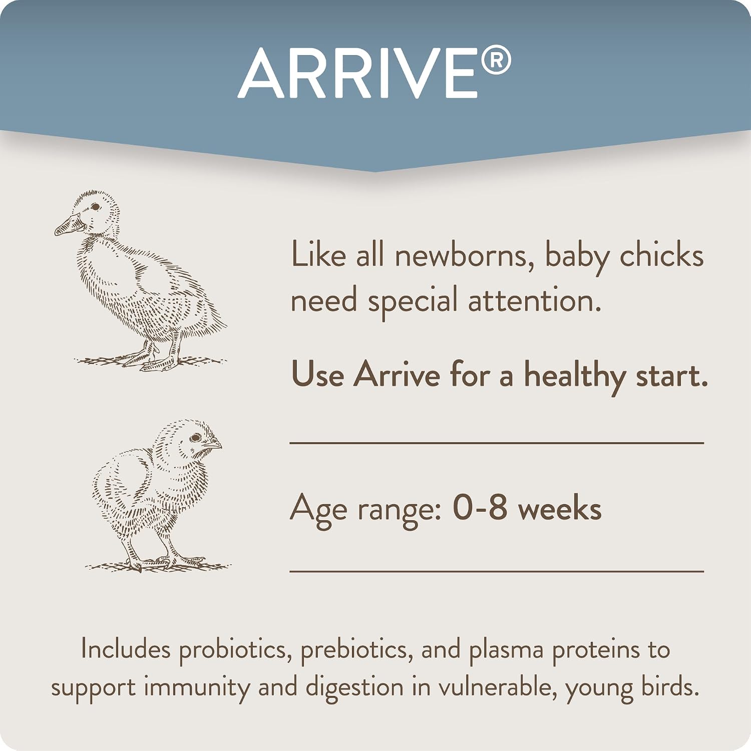 FlockLeader Arrive prebiotics and probiotics packaging showing dosage directions per gallon of water
