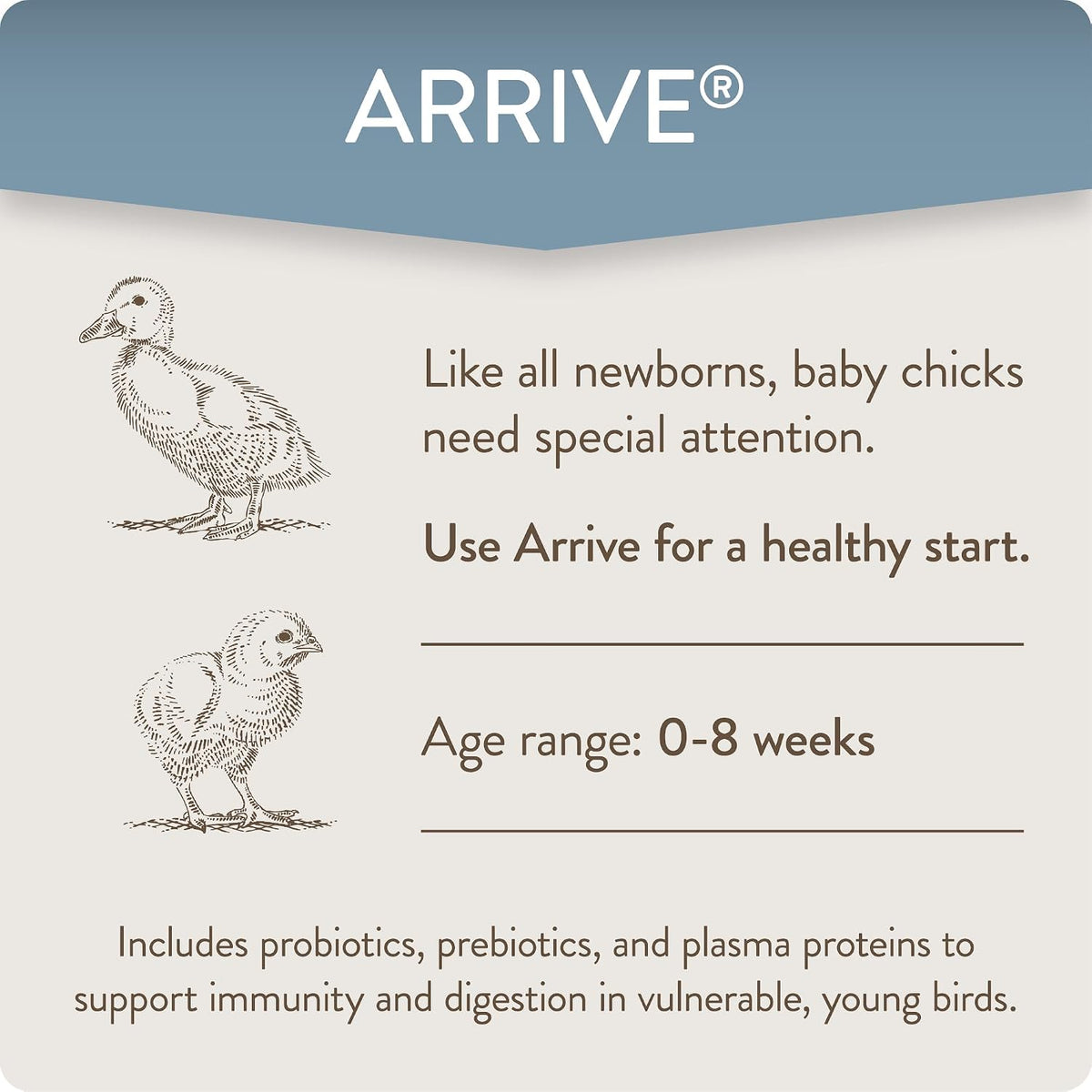 Poultry probiotic supplement powder texture inside the packaging
