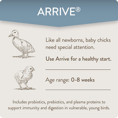 FlockLeader Arrive prebiotics and probiotics packaging showing dosage directions per gallon of water