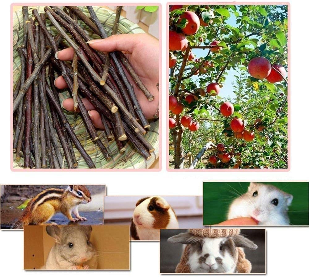 Close up of organic apple tree chew sticks for rabbits