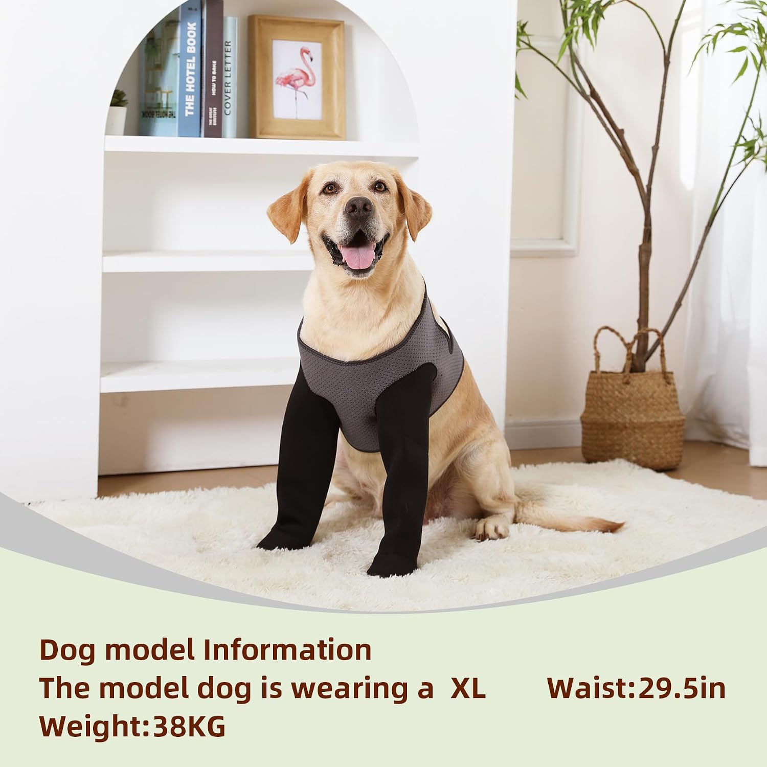 Grettytling XLarge dog sleeve for surgical site protection