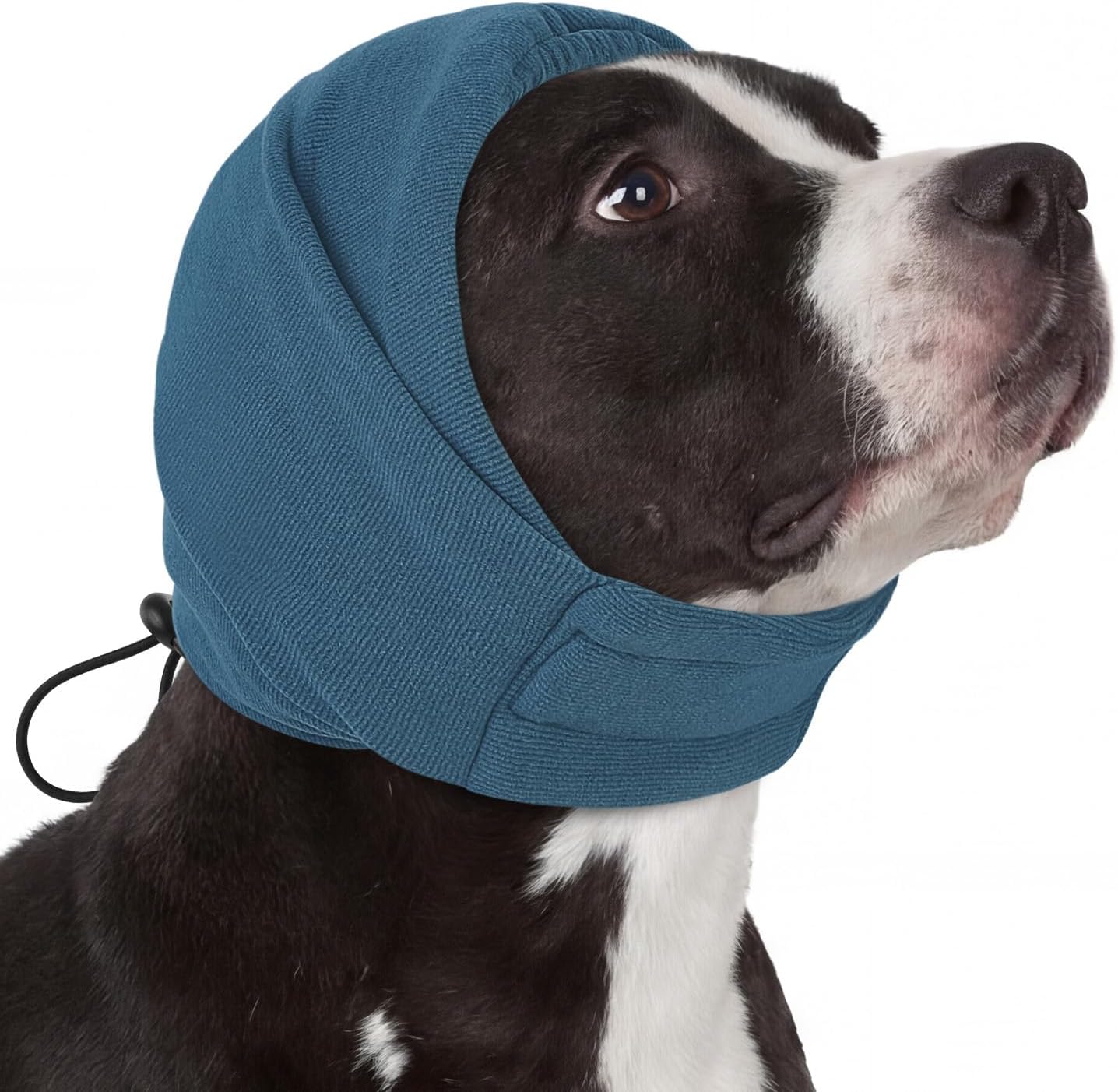AOFITEE imported dog calming hoodie being used during pet blow drying.