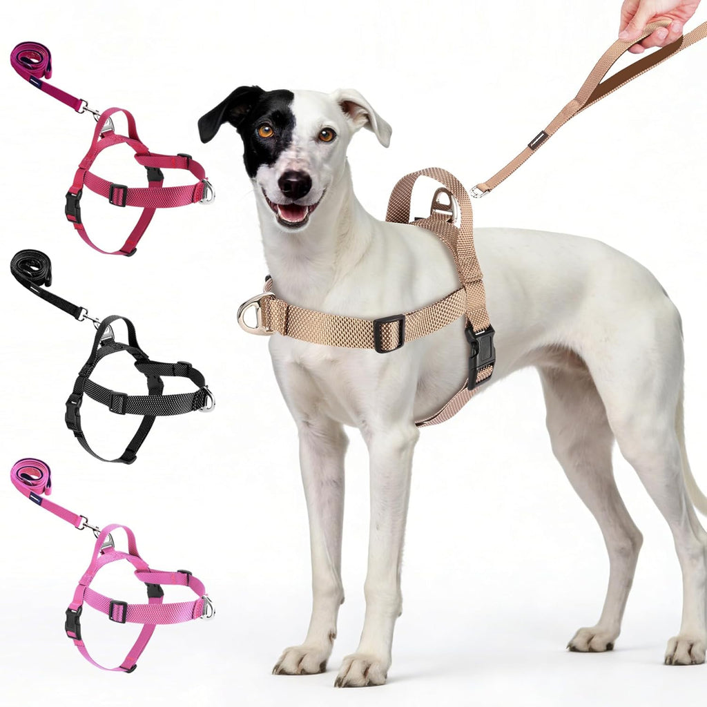 Annchwool No Pull Dog Harness with Front Clip and Easy Control Handle-Belly & Chest Adjustable Dog Harness and Leash Set for Medium Large Dogs-Heavy Duty Vest Harnesses Easy for Walking(Black,L) - Image 9