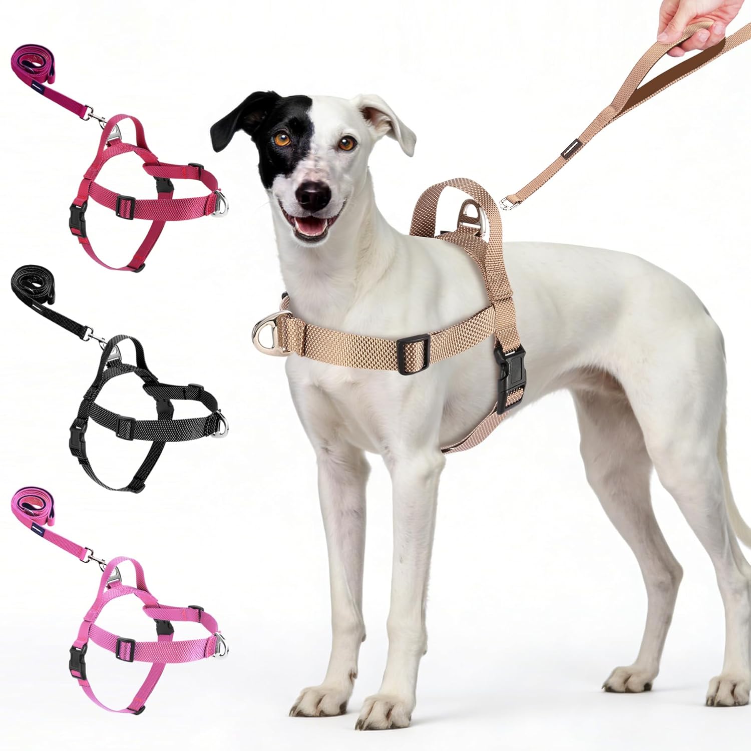 Annchwool No Pull Dog Harness with Front Clip and Easy Control Handle-Belly & Chest Adjustable Dog Harness and Leash Set for Medium Large Dogs-Heavy Duty Vest Harnesses Easy for Walking(Black,L) - Image 9