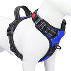 PHOEPET No Pull Dog Harness Medium Reflective Front Clip Vest with Handle,Adjustable 2 Metal Rings 3 Buckles,[Easy to Put on & Take Off](M, Orange) - Image 10