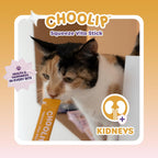 Choolip Squeeze Vita Stick Lickable Cat and Dog Treats, 7-Count Kidney Support, Tuna and Pollack with Pumpkin, Blueberry and Omega-3, Grain-Free, Vet-Formulated - Image 8