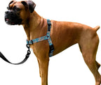 Packaging and product components of imported ShawnCo harness
