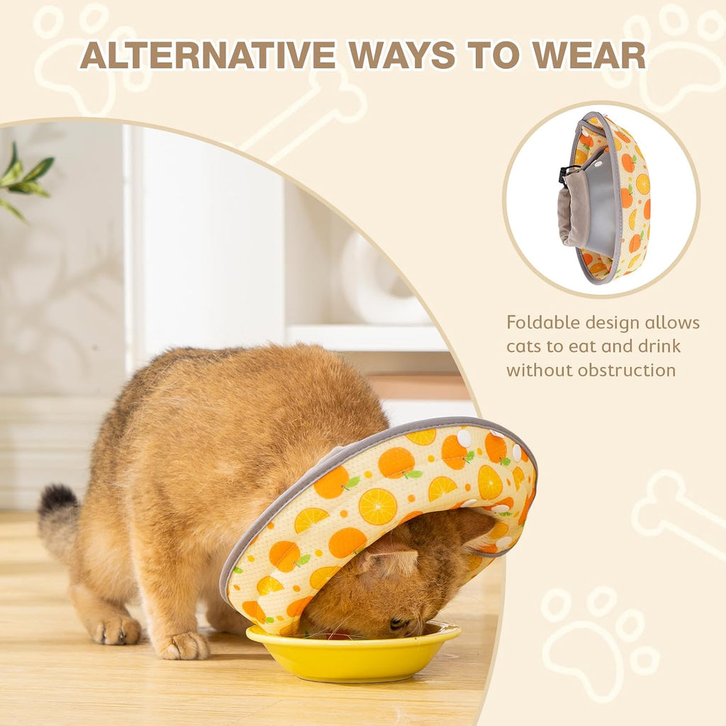 Adjustable lightweight recovery collar on a kitten