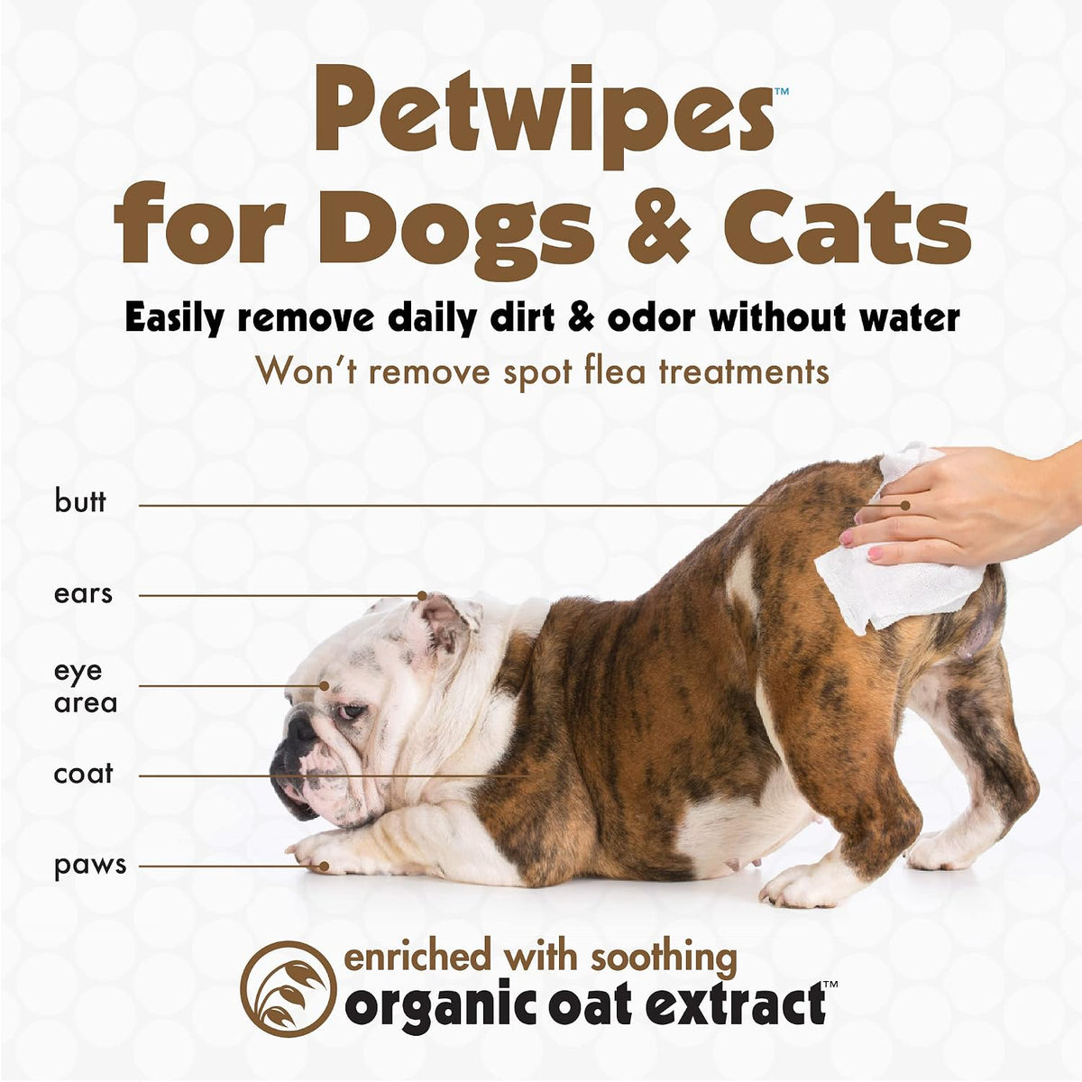 Petkin oatmeal pet wipes one hundred count pack back label showing ingredients.