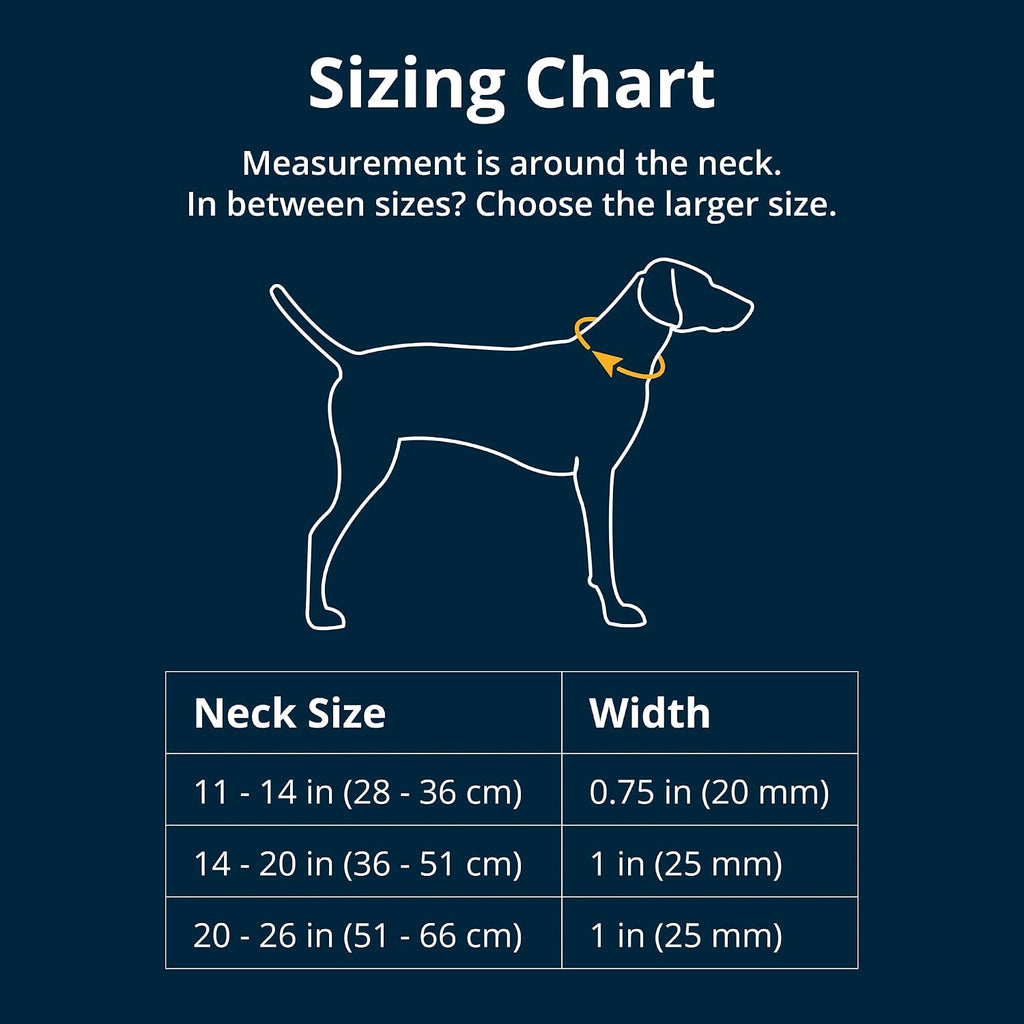 Close up of Ruffwear dog collar aluminum V-ring attachment