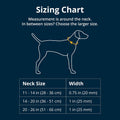 Close up of Ruffwear dog collar aluminum V-ring attachment