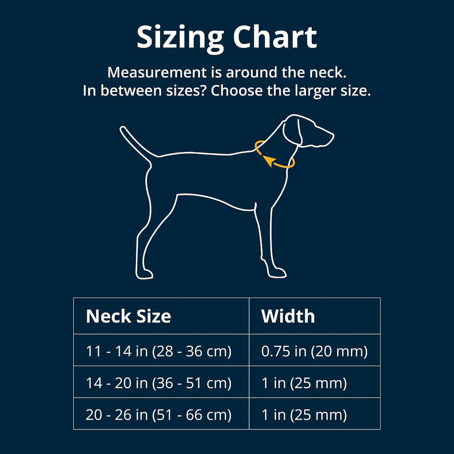 Close up of Ruffwear dog collar aluminum V-ring attachment
