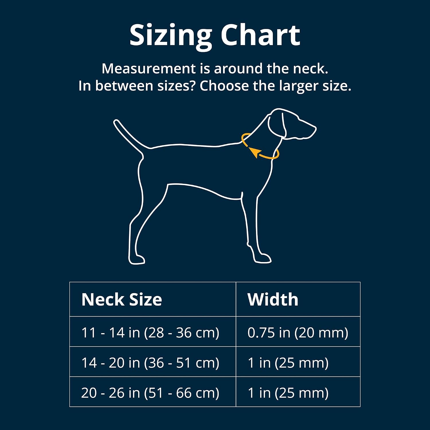 Close up of Ruffwear dog collar aluminum V-ring attachment