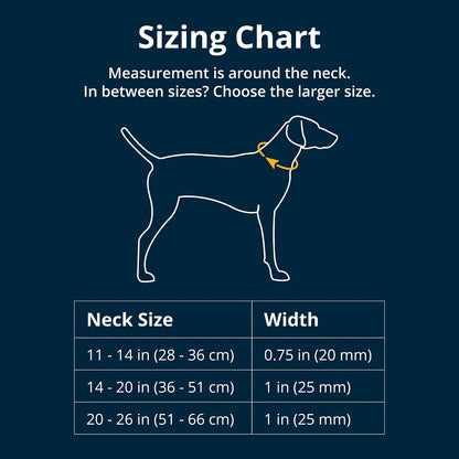 Close up of Ruffwear dog collar aluminum V-ring attachment