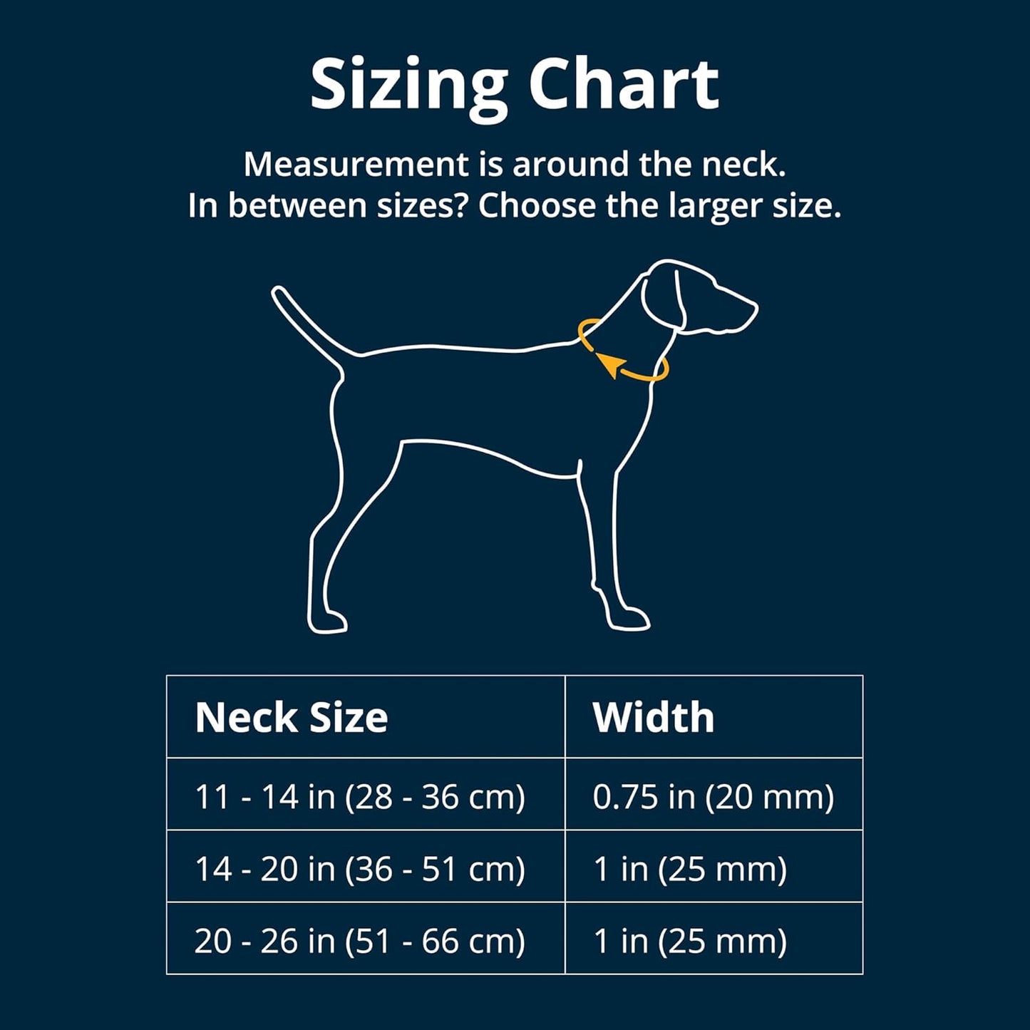 Reflective martingale dog collar showing the stainless steel chain attachment