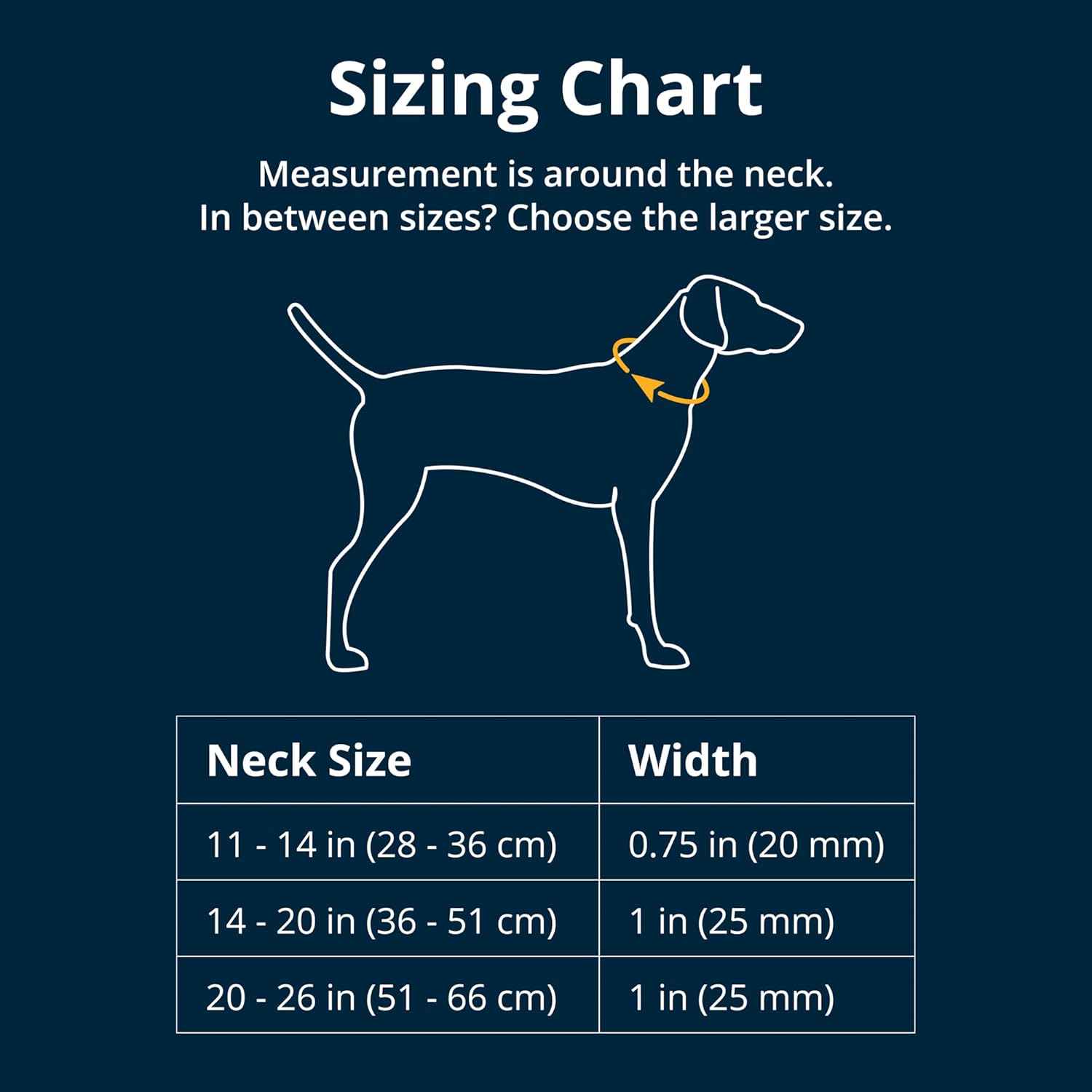 Reflective martingale dog collar showing the stainless steel chain attachment