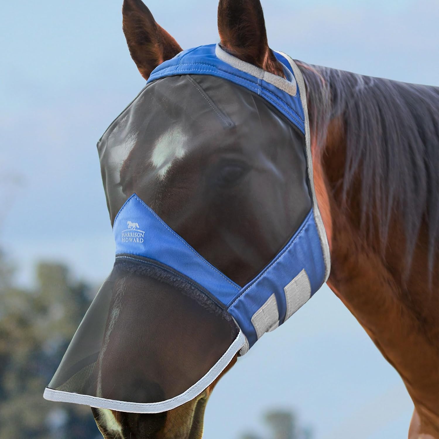 Harrison Howard CareMaster Pro Luminous Horse Fly Mask Large Eye Space Full Face Standard with Nose No Ears Summer Mint L - Image 11