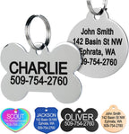 GoTags stainless steel pet id tag front view showing regular bone shape with clear laser engraving on collar