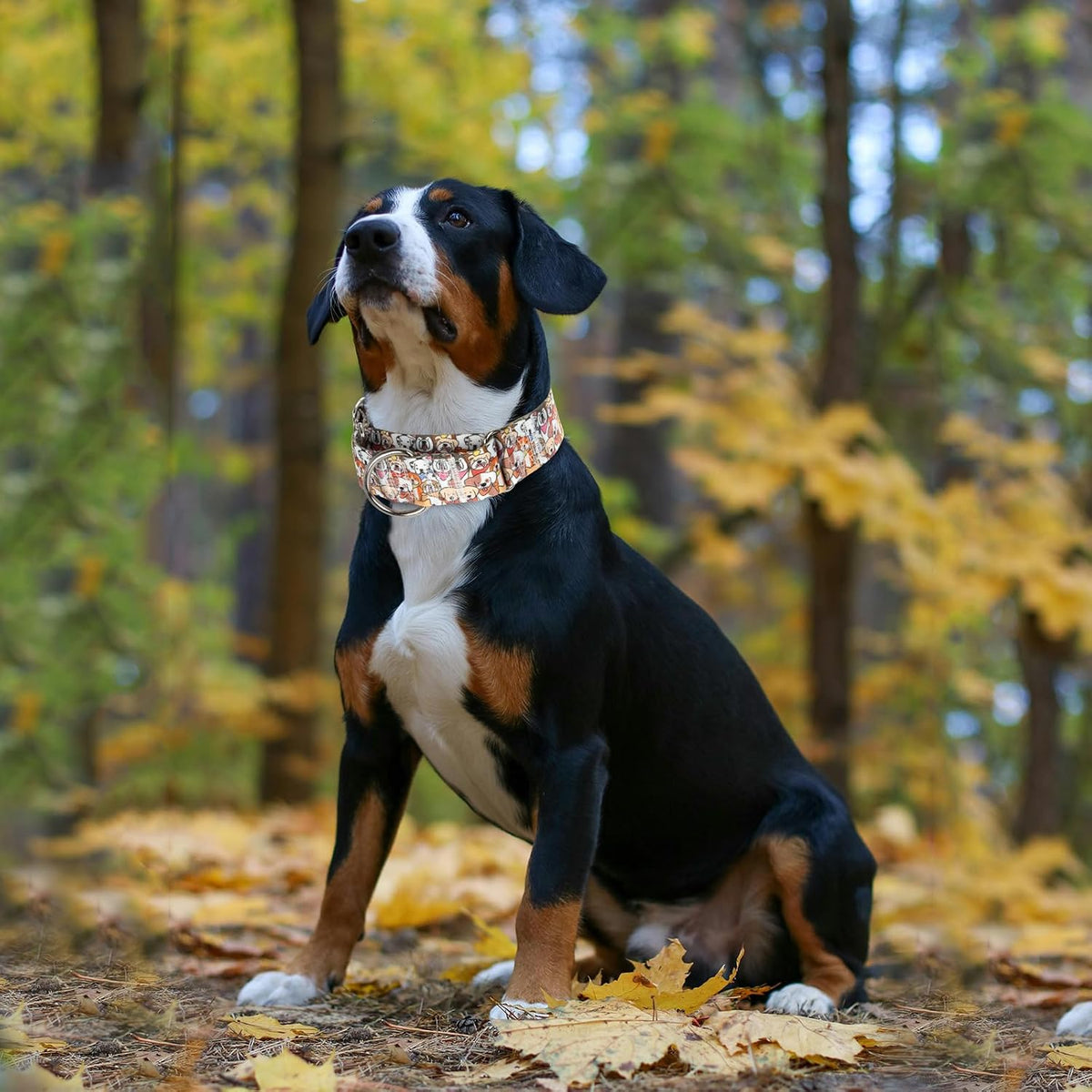 Maowuwujoz skull print dog collar showing pattern detail
