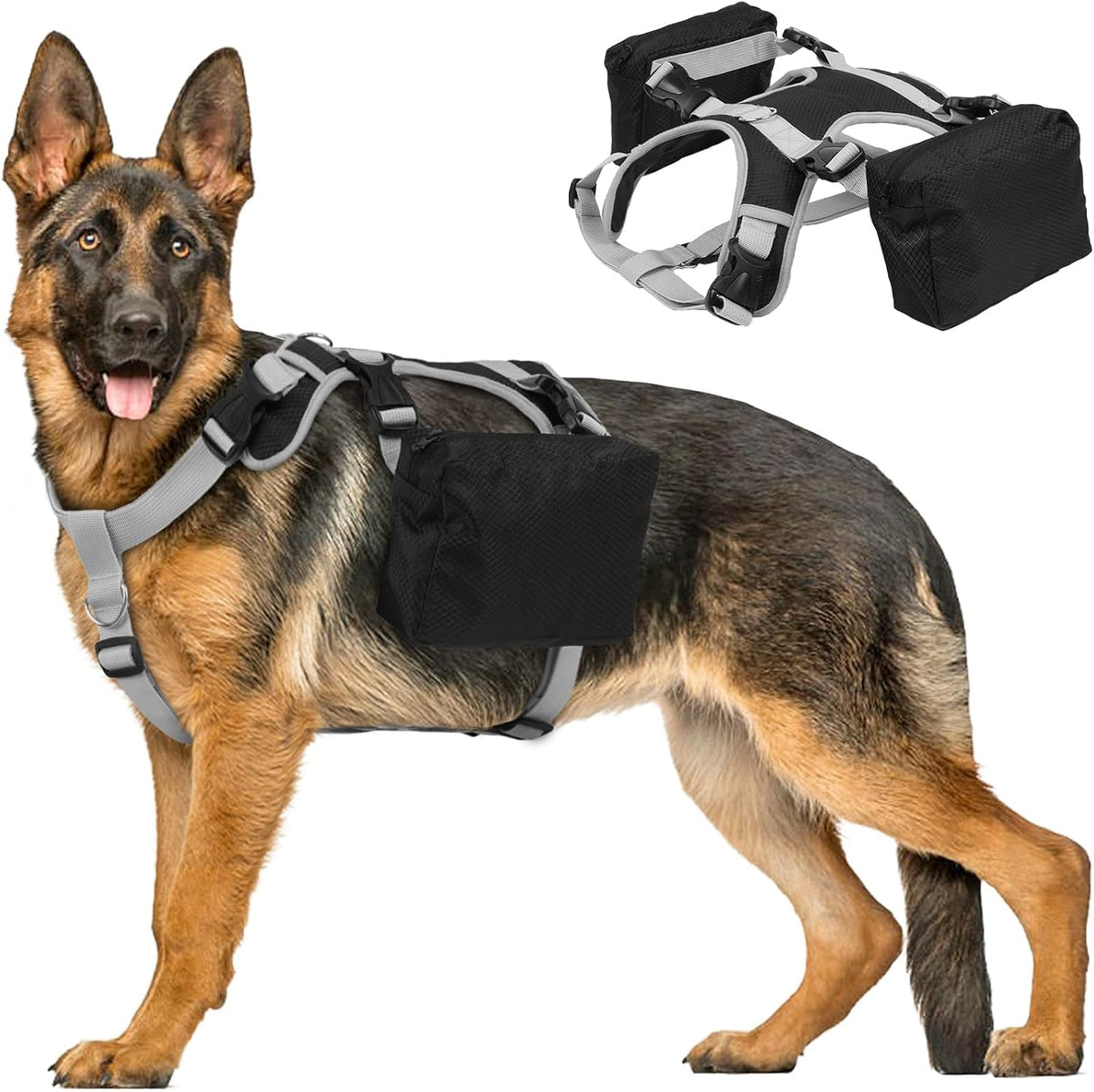 Dora Bridal Dog Backpack Harness Black Large Front View