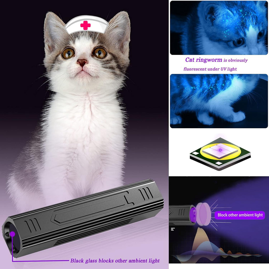 Denlydom portable 365nm ultraviolet flashlight illuminating a pet cat for ringworm screening.