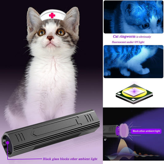 Denlydom portable 365nm ultraviolet flashlight illuminating a pet cat for ringworm screening.