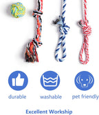 Fida puppy teething rope with tug handle being utilized for an interactive outdoor training session.