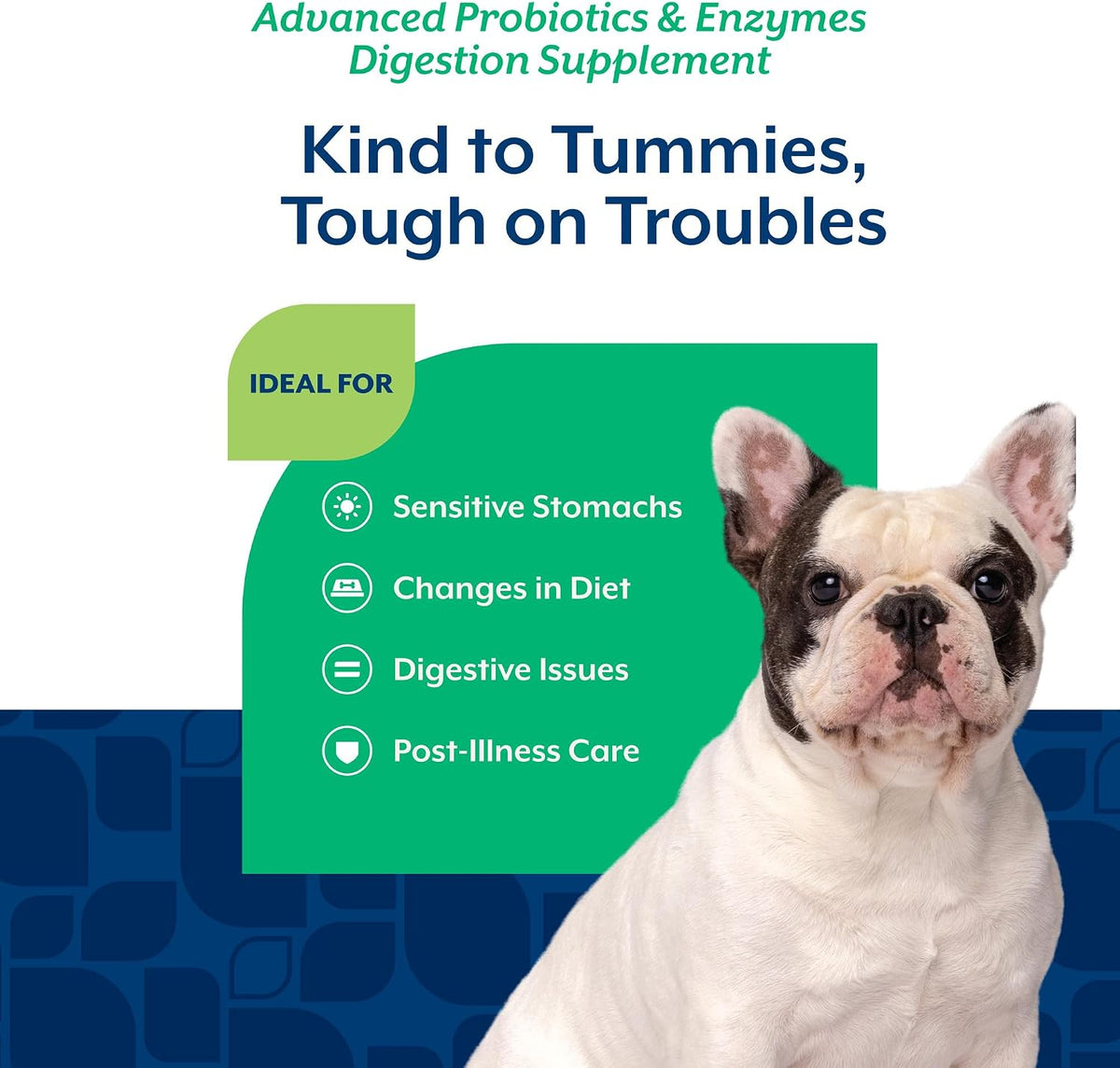 Authentic NaturVet dog probiotics one hundred twenty count soft chews packaging