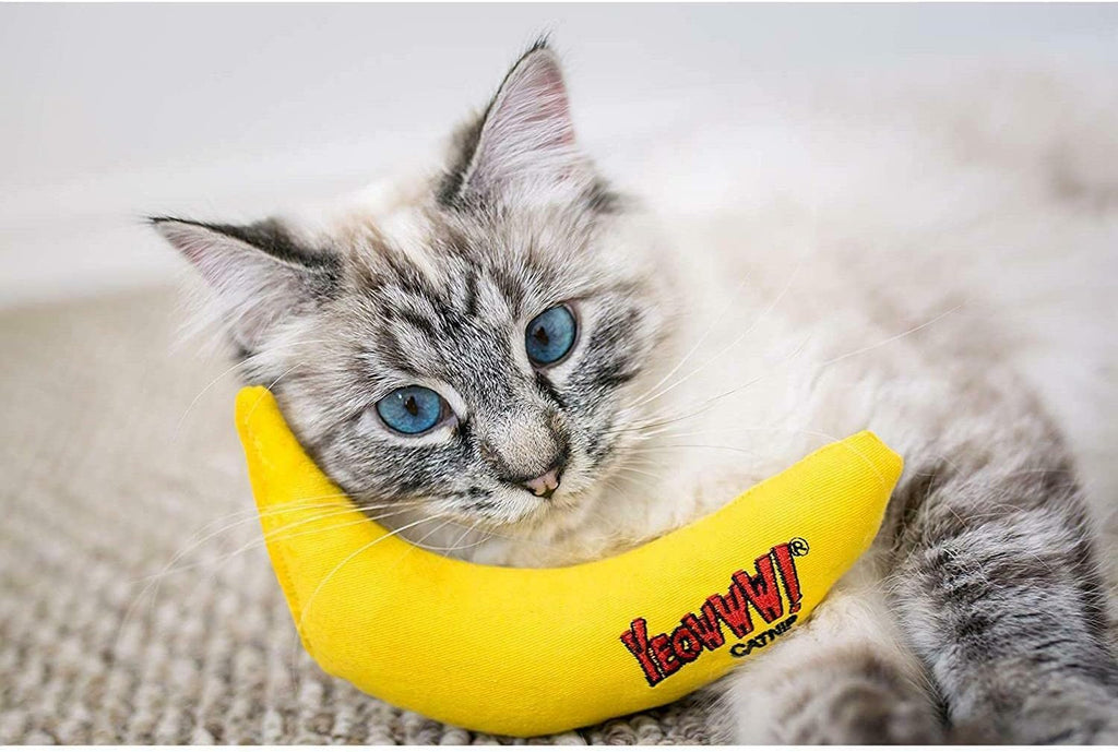 Cat playing with yellow banana catnip toy