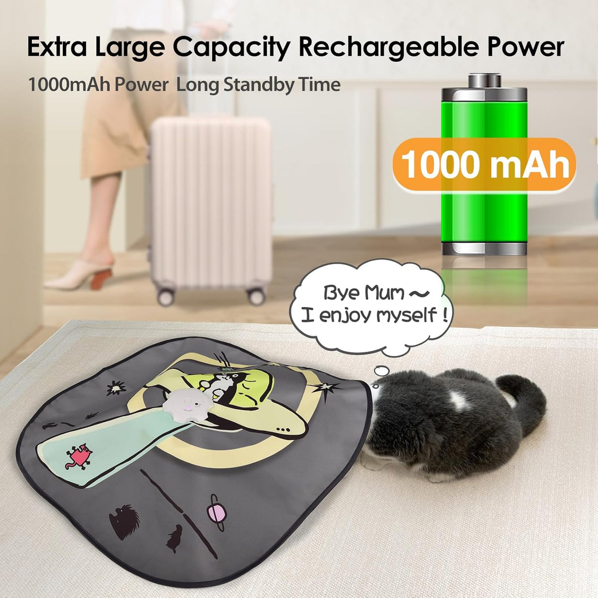 ORSDA electronic cat toy illustrating the built in rechargeable battery port.