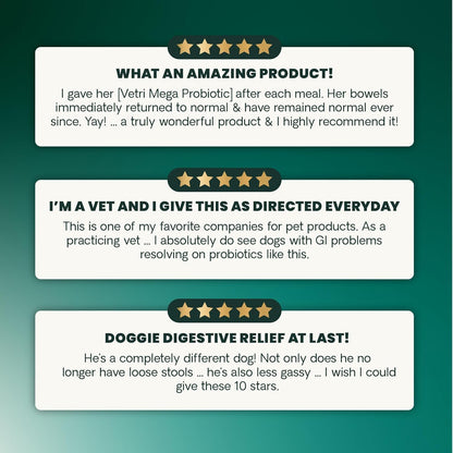 VetriScience digestive health supplement for cats and dogs