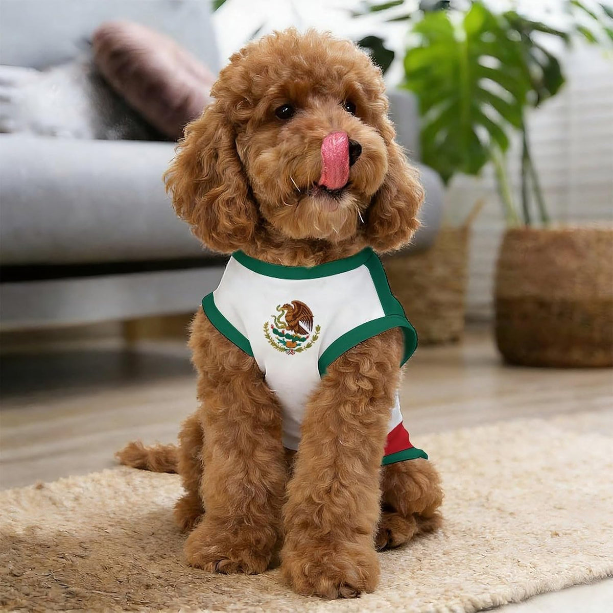 Dog wearing Mexico 2026 soccer jersey side profile