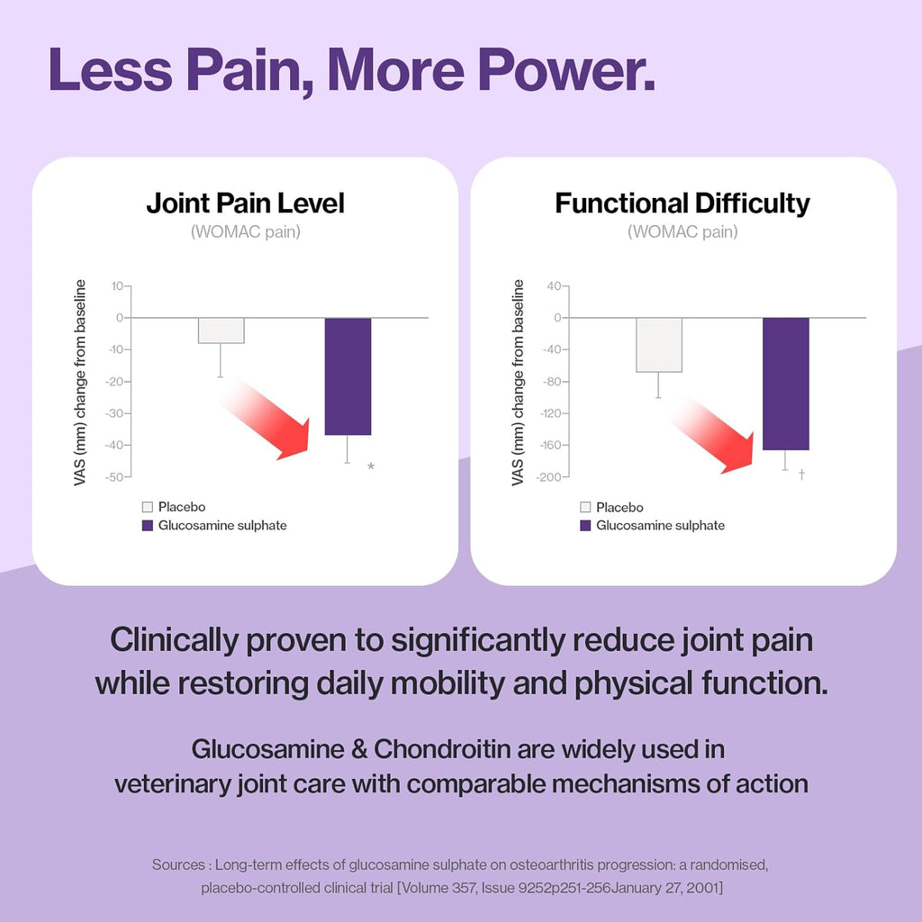 Educational graphic showing joint health benefits for cats