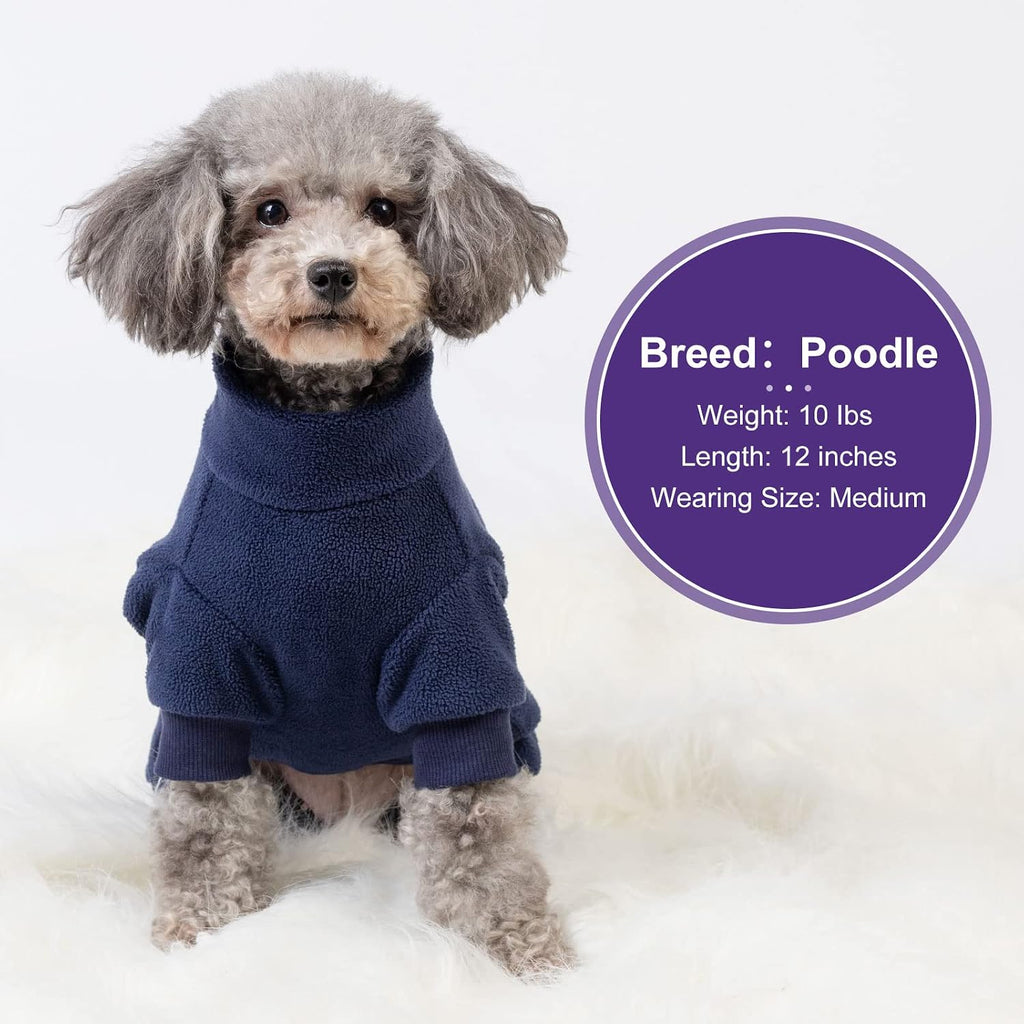 Small dog wearing navy Cyeollo thermal winter jumpsuit