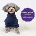 Small dog wearing navy Cyeollo thermal winter jumpsuit