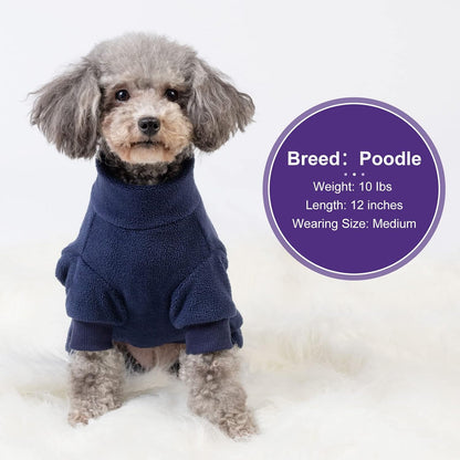 Small dog wearing navy Cyeollo thermal winter jumpsuit