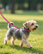 Joytale hotpink small dog collar metal ring