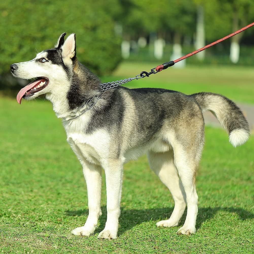 CBBPET stainless steel pinch collar opened up to demonstrate the quick release locking mechanism