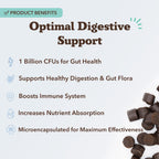Canine specific microencapsulated probiotic supplement jar for stool quality regulation