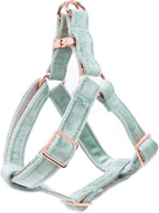 High quality rose gold O-ring on Aring Pet dog harness