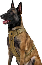 OneTigris Dog Harness No Pull, Adjustable Tactical Harness with Soft Padding, Y-Shaped Reflective Easy Walk Dog Harness for Medium and Large Dogs - Image 10