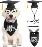 Angirlish dog graduation cap and gown set front view on a golden retriever